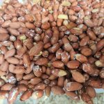 مغز بادام زمینی آستانه