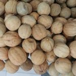 لیمو عمانی اعلاء درجه یک جهرم بدون تلخی